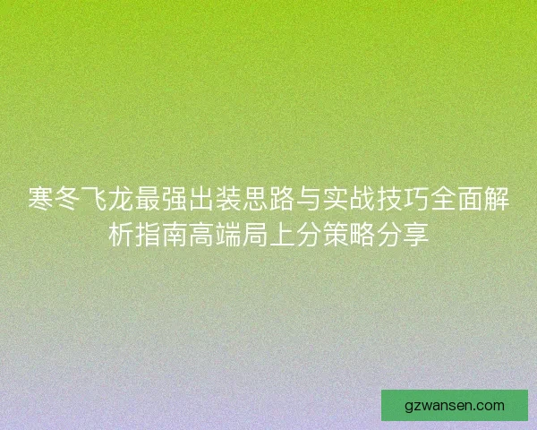 寒冬飞龙最强出装思路与实战技巧全面解析指南高端局上分策略分享