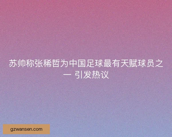 苏帅称张稀哲为中国足球最有天赋球员之一 引发热议 苏帅称张稀哲为中国足球最有天赋球员之一 引发热议