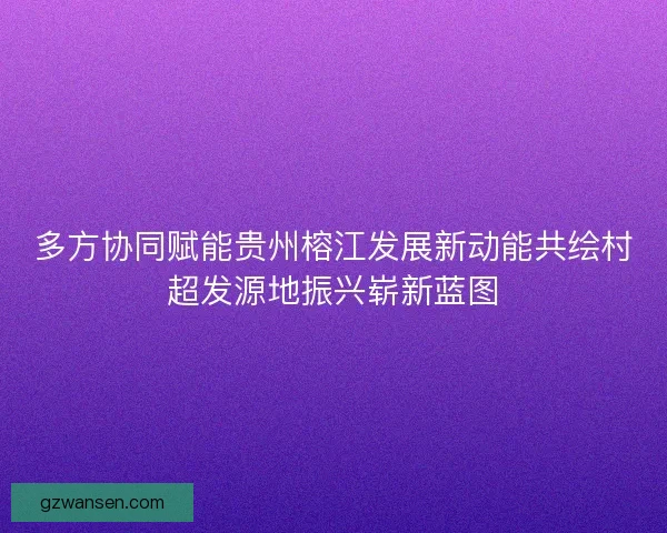 多方协同赋能贵州榕江发展新动能共绘村超发源地振兴崭新蓝图 多方协同赋能贵州榕江发展新动能共绘村超发源地振兴崭新蓝图