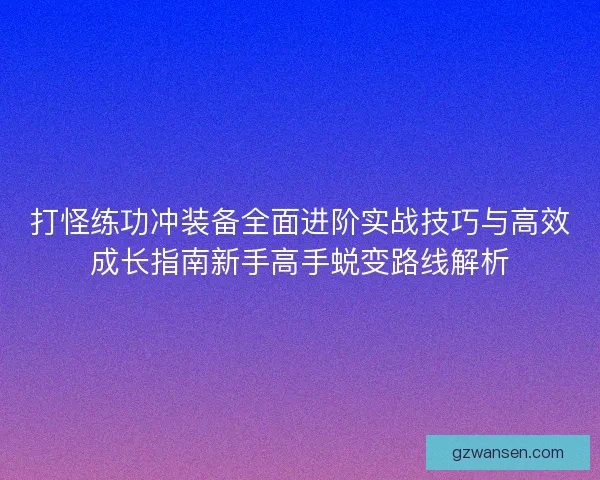 打怪练功冲装备全面进阶实战技巧与高效成长指南新手高手蜕变路线解析