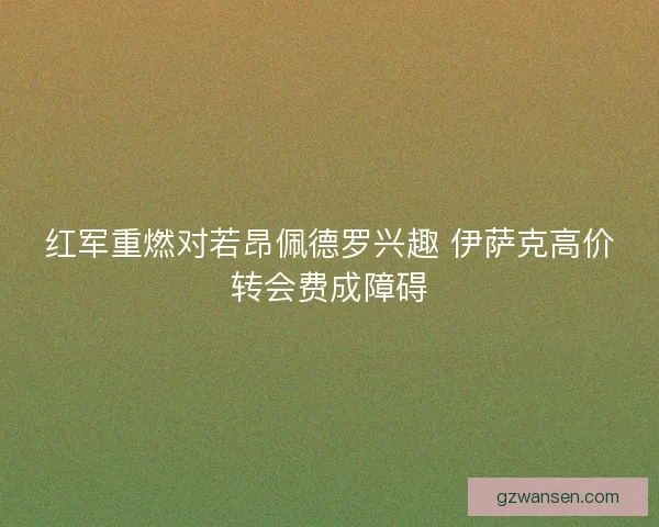 红军重燃对若昂佩德罗兴趣 伊萨克高价转会费成障碍