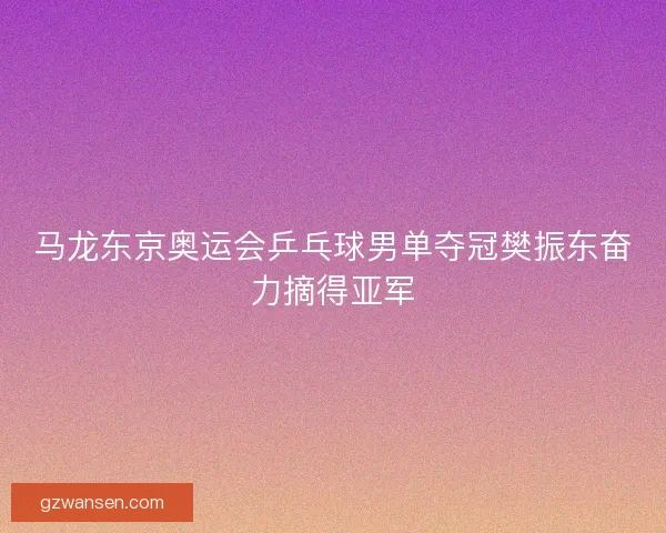 马龙东京奥运会乒乓球男单夺冠樊振东奋力摘得亚军 马龙东京奥运会乒乓球男单夺冠樊振东奋力摘得亚军